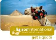 international_icon.gif